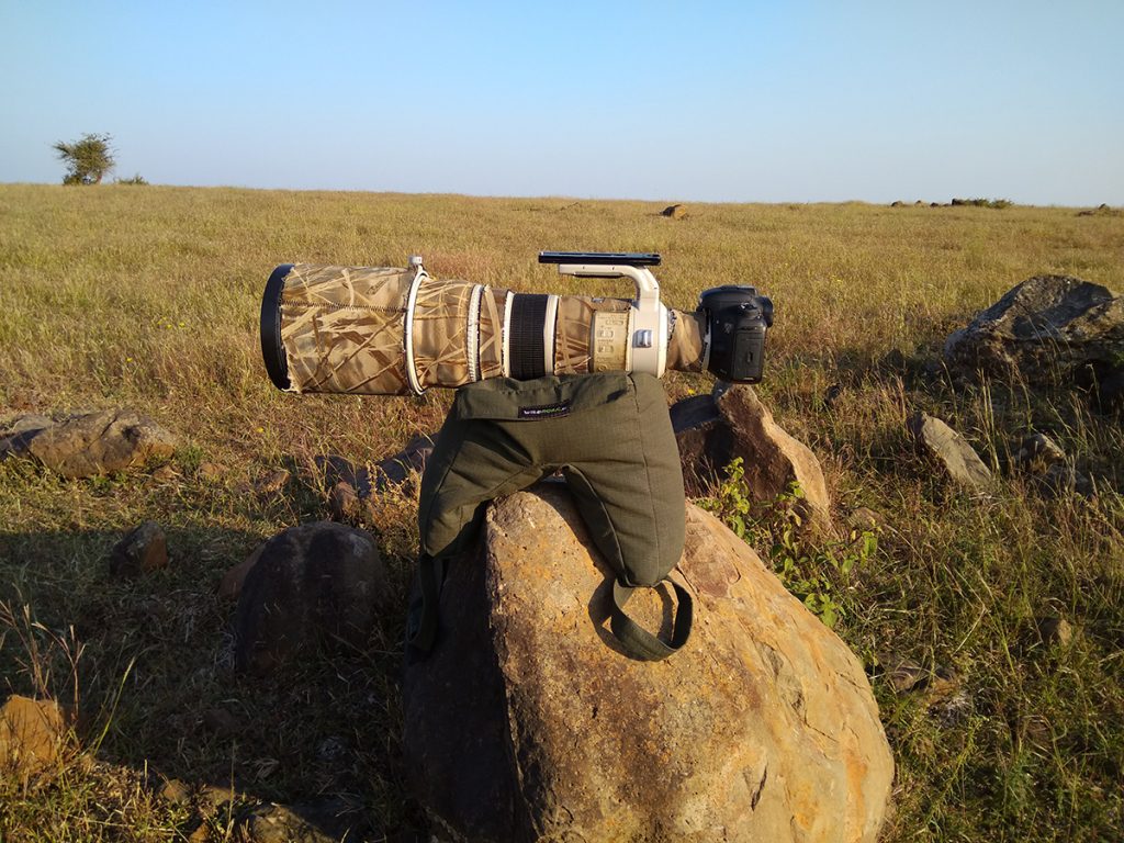 Bean Bagwaterproof Filled with Beans WildRoar.in
