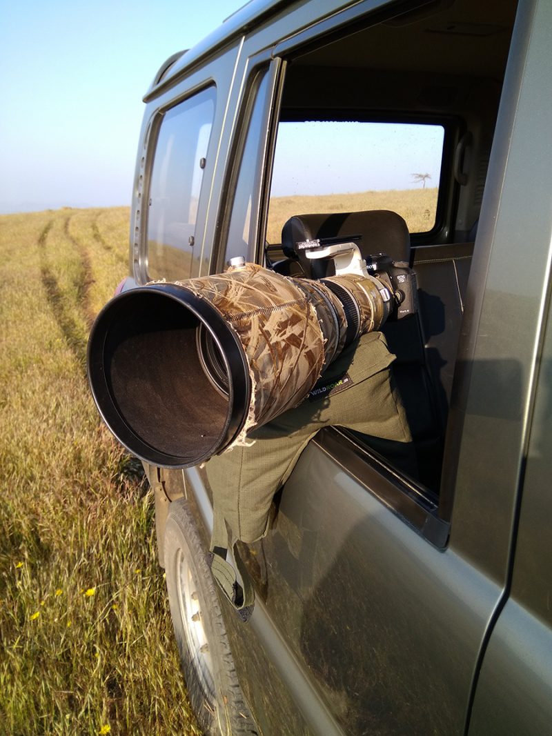 Bean Bagwaterproof Filled with Beans WildRoar.in